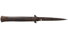 Rust Coat image
