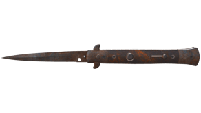 Rust Coat image