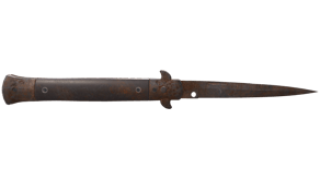 Rust Coat image