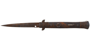 Rust Coat image