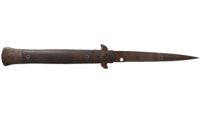 Rust Coat image