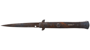 Rust Coat image