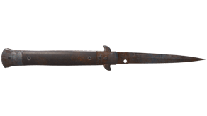 Rust Coat image