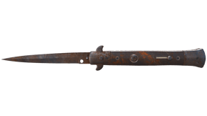Rust Coat image