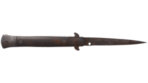 Rust Coat image