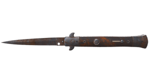 Rust Coat image