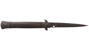 Rust Coat image