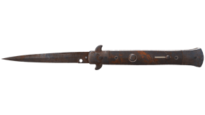 Rust Coat image
