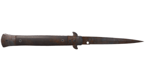 Rust Coat image