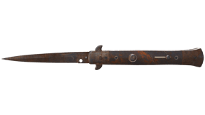 Rust Coat image