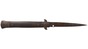 Rust Coat image