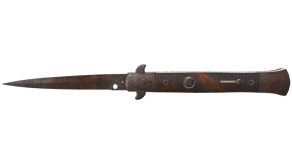 Rust Coat image