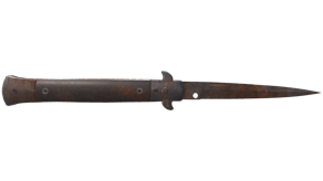 Rust Coat image