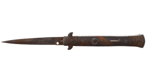 Rust Coat image