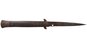Rust Coat image