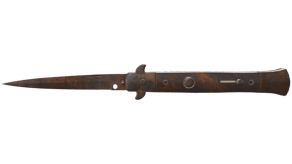 Rust Coat image