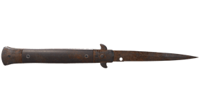 Rust Coat image