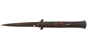 Rust Coat image