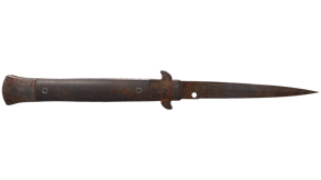Rust Coat image