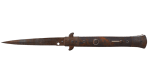 Rust Coat image