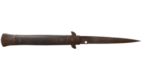 Rust Coat image