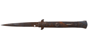 Rust Coat image