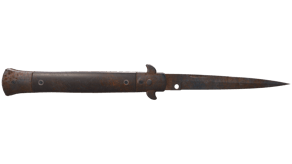 Rust Coat image