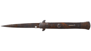 Rust Coat image