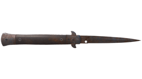 Rust Coat image
