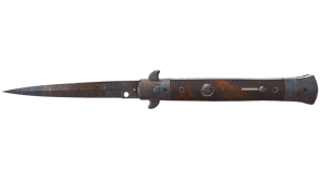 Rust Coat image