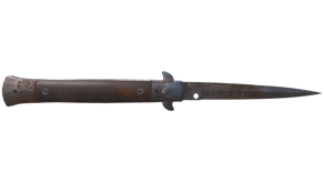Rust Coat image