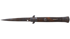 Rust Coat image