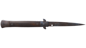 Rust Coat image