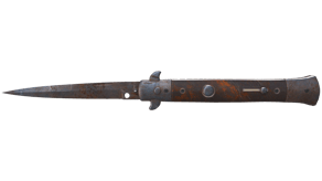 Rust Coat image