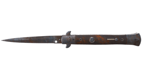 Rust Coat image