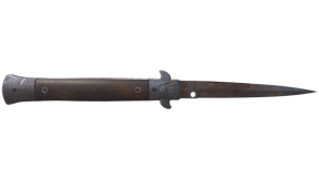 Rust Coat image