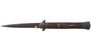 Rust Coat image