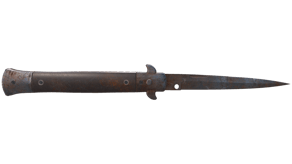 Rust Coat image