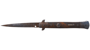 Rust Coat image