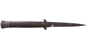 Rust Coat image
