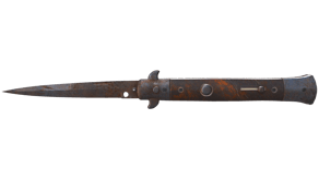 Rust Coat image
