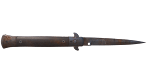 Rust Coat image