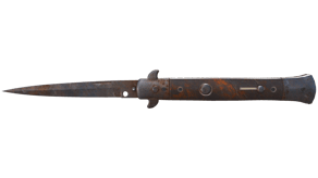 Rust Coat image