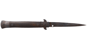 Rust Coat image