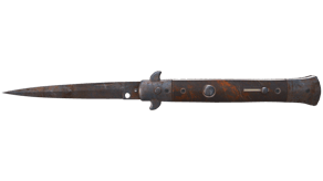 Rust Coat image