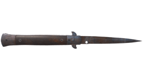 Rust Coat image