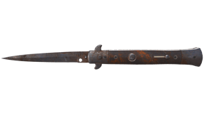 Rust Coat image