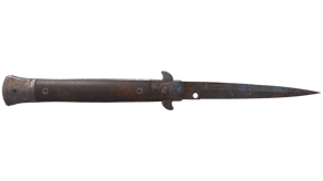 Rust Coat image