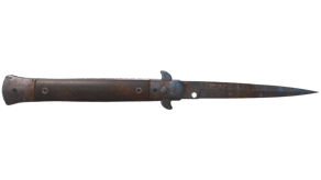 Rust Coat image