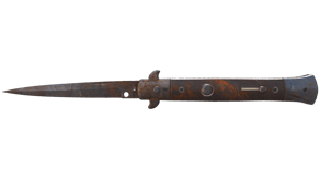 Rust Coat image